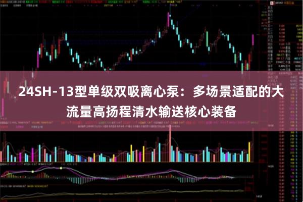 24SH-13型单级双吸离心泵：多场景适配的大流量高扬程清水输送核心装备