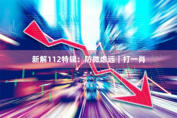 新解112特辑：防微虑远｜打一肖