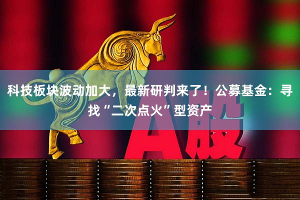 科技板块波动加大，最新研判来了！公募基金：寻找“二次点火”型资产