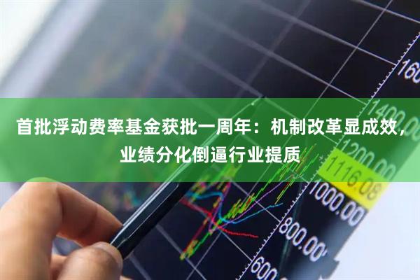首批浮动费率基金获批一周年：机制改革显成效，业绩分化倒逼行业提质