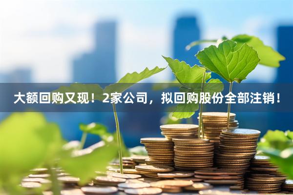 大额回购又现！2家公司，拟回购股份全部注销！